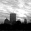 Boston2